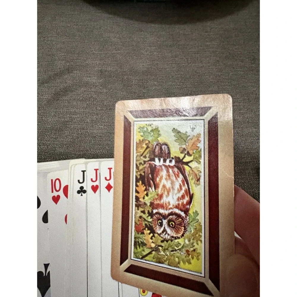 Vintage Owls Playing Cards MCM Colorful‎ w Jokers B&B Hippie Barn Owl